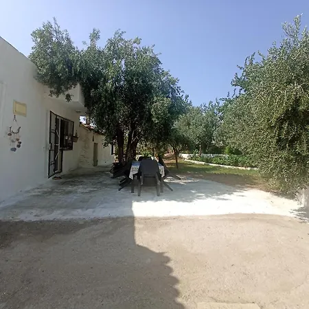 Priene *