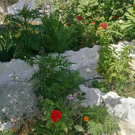 Priene Feriehus *