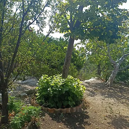 Feriehus Priene *