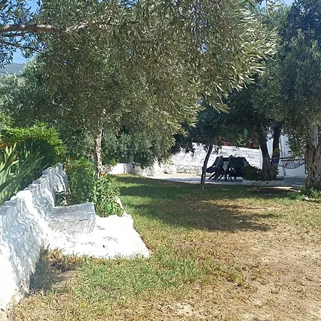 Priene Soke