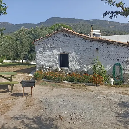 Priene Feriehus *